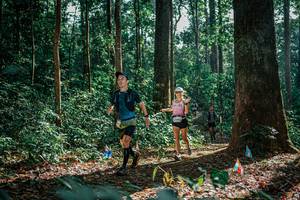 BIB: 
                            <button type="button" onclick="openModal(26129859)" class="btn btn-primary btn-sm float-right btn-popup" data-toggle="modal" data-target=".modal-high-quality">
                        <i class="fas fa-shopping-cart"></i> Add to Cart
                    </button>
                                            <button type="button" onclick="isThisMe(26129859, true)" class="btn btn-success btn-sm float-right btn-popup btn-isme hidden" data-toggle="tooltip" data-placement="bottom" title="นี่คือรูปของคุณใช่ไหม คลิกที่นี่เพื่อเอาเข้าอัลบั้ม">
                        <i class="fas fa-plus"></i> Add to album
                    </button>
                    <button type="button" onclick="isThisMe(26129859, false)" class="btn btn-warning btn-sm float-right btn-popup btn-isnotme hidden">
                        <i class="fas fa-ban"></i> Remove from album
                    </button>